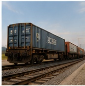 Container transported by rail